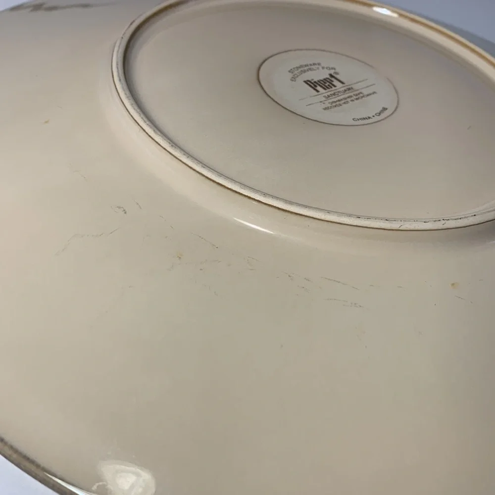 Pier 1 Imports Stoneware Dinner Plate Sanctuary Pattern 11 1/2” Star Burst One